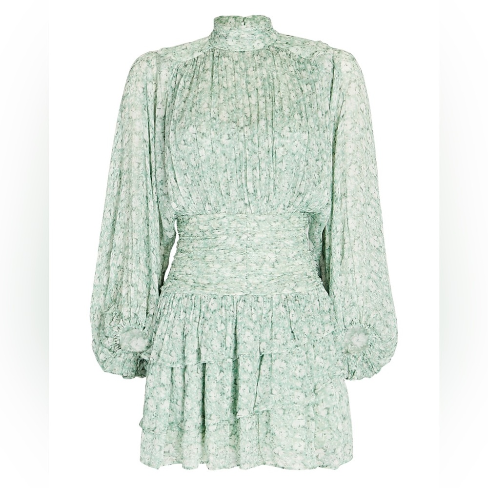 SHONA JOY Aurore Ruffled Floral Chiffon Mini Dress